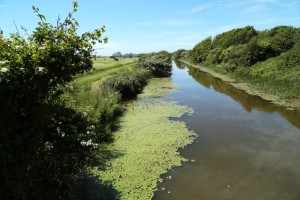 Military Canal at Hythe