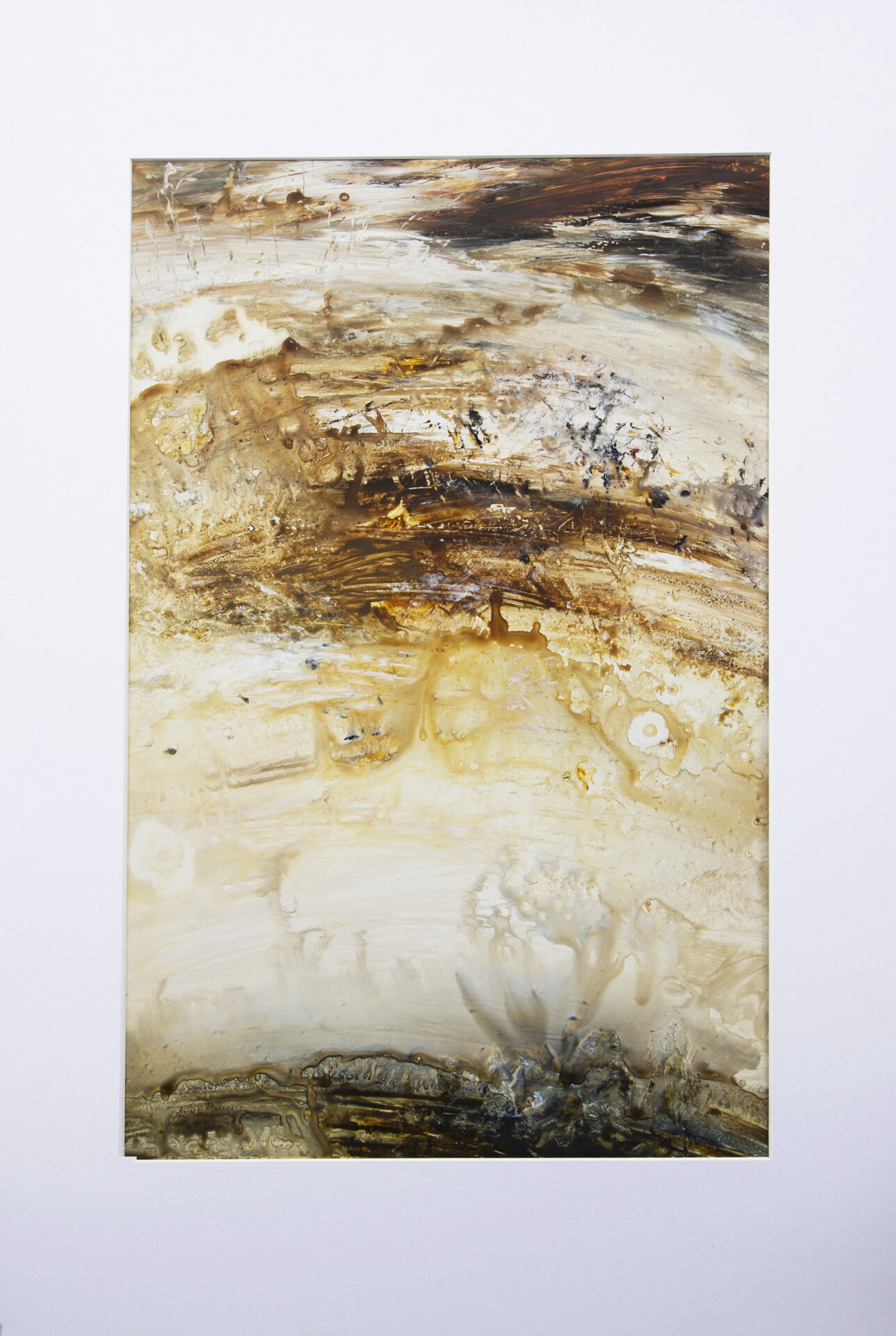 Lyne Marshall Desert Bloom 64 x 94cm acrylic on synthetic paper