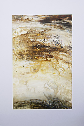 Lyne Marshall Desert Bloom 64 x 94cm acrylic on synthetic paper